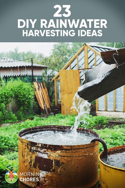 23 Awesome DIY Rainwater Harvesting Systems You Can Build at Home Rain Water Collection Diy, Rainwater Collection System, Rainwater Collection, Water From Air, Architecture Renovation, Rainwater Harvesting System, Rain Collection, Astuces Diy, Rainwater Harvesting