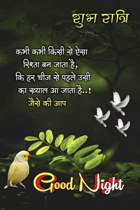 Good Night Shayari In Hindi, Sweet Good Night Messages, Good Night Text Messages, Sweet Good Night, Good Night Shayari, Night Shayari, Best Good Night, Good Night Hindi, Lovely Good Night