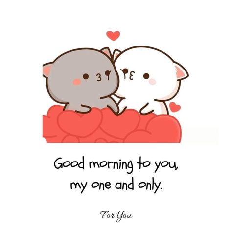 Morning Without You, Good Morning Couples Wake Up, Good Morning Messages For Him Texts, Cute Message For Him, Good Morning To My Love, Good Morning My Love For Him, Good Morning Bear, Waiting For You Images, Mochi Bear