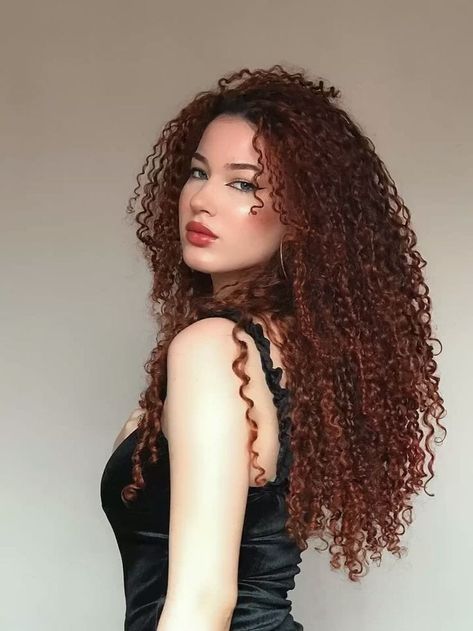 30s Hairstyles, Dark Ginger Hair, Long Textured Hair, Pineapple Hair, Comb Over Haircut, Highlights Curly Hair, Bold Hair Color, Negin Mirsalehi, Big Curly Hair