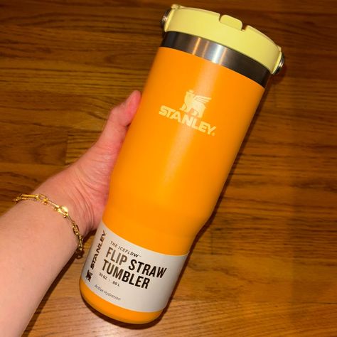 Brand New. Never Been Used. Target Exclusive In Marigold. Citron Stanley Cup, Grapefruit Stanley Cup, Tigerlily Stanley Cup, Coral Stanley Cup, Orange Stanley Tumbler, Orange Water Bottle, Orange Water, Trendy Water Bottles, Beautiful Butterfly Photography