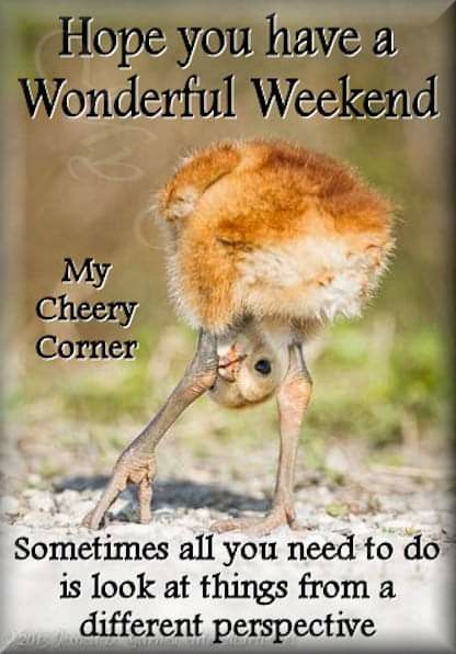 Morning Funnies, Happy Friday Humour, Leaving Work On Friday, Love You Forever Quotes, Saturday Humor, Special Friendship Quotes, Hugs And Kisses Quotes, Funny Day Quotes, Good Morning Happy Monday