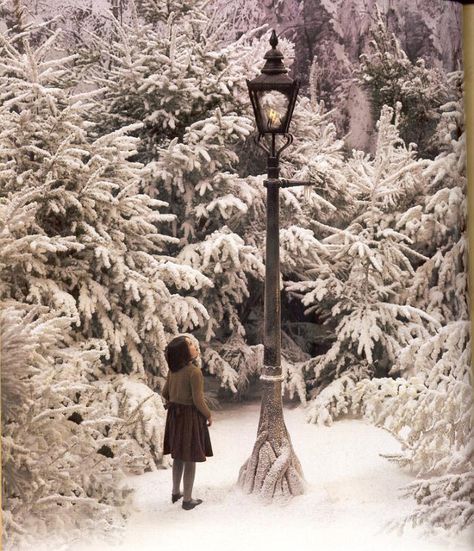 Lucy by the Lamp-post - Narnia Fans Narnia Lamp Post, Narnia Lucy, Narnia Movies, Lucy Pevensie, Narnia 3, Image Film, Winter Magic, Chronicles Of Narnia, Winter Beauty