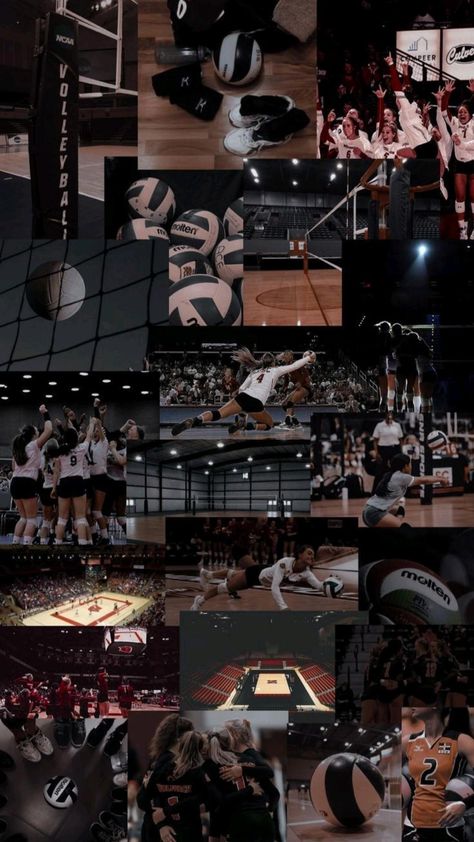 Wallpaper Volleyball, Volleyball Wallpapers, Athletic Wallpaper, Volleyball Backgrounds, Cool Basketball Wallpapers, Volleyball Photography, Volleyball Wallpaper, Basketball Background, Volleyball Photos