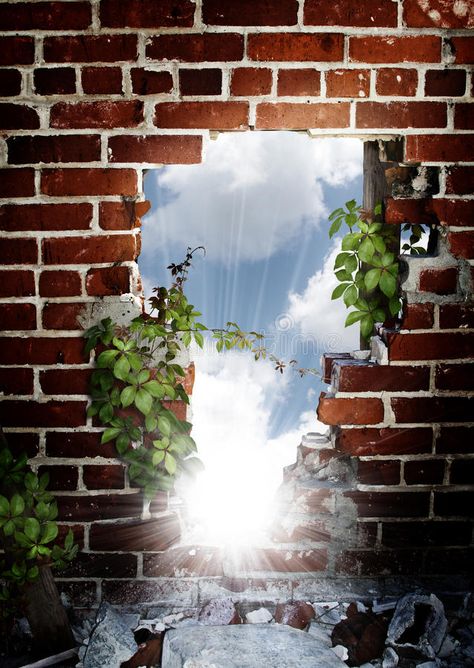 Hole in brick wall. A brick wall with hole and vines climbing on surface with a , #Aff, #hole, #vines, #climbing, #Hole, #brick #ad Brick Wall Art Outdoor, Brick Painting Art, Murals On Brick Walls, Brick Art Painted, Painting Brick Wall, Hole In The Wall Drawing, Brick Wall Painting Art, Wall Breaking Drawing, Brick Wall Painting Ideas