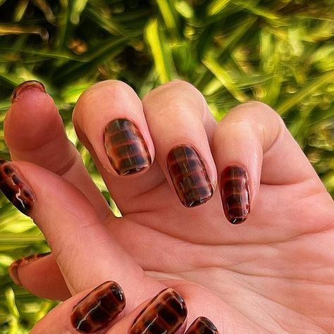 Nails by Yadira on Instagram: "🐊 See you later, alligator 🐊 • • BIAB LEVEL 3 for @vivalaviev  • #nails #nailart #handpainted #biab #biabnails #crocodile #alligator #print #nails💅 #nailinspo #naildesign #nailsofinstagram #nailsofig #nailsonfleek #nailsonpoint #nailaddict #nailartist #naildesigns #naildone #nailsdid #naillove #amsterdam" Brown Alligator Nails, Fall Crocodile Nails, Brown Crocodile Nails, Alligator Print Nails, Crocodile Nail Design, Crocodile Print Nails, Alligator Nails, Gator Nails, Crocodile Nails