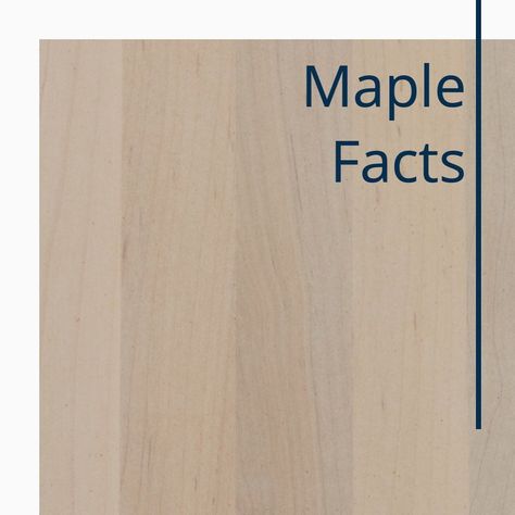 ✨MAPLE FACTS✨ There are many varieties of maple. We work mostly with Brown Maple. ✨SAVE this post if you’re thinking about investing into maple furniture. #hardwoodfurniture #americanmade Stained Maple Door, Natural Maple Furniture, Different Stains On Maple Wood, Stains For Maple Wood, Best Stain For Maple Wood, White Maple Cabinets, Stains For Maple Cabinets, Best Stains For Maple Wood, White Washed Maple Cabinets