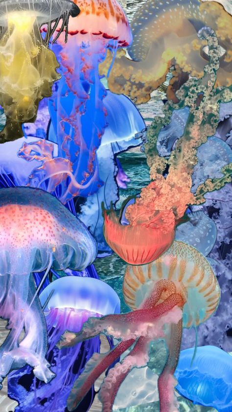 #jellyfish#water Ocean Room Decor, Jellyfish Pictures, Fish Lamp, Ocean Room, Spiritual Wallpaper, Future Wallpaper, Jellyfish Art, Fish Wallpaper, Jelly Fish