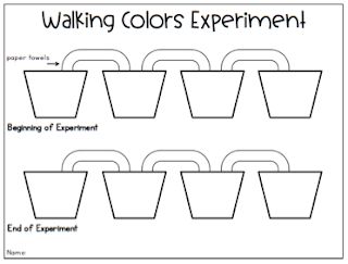 Simple Science: Walking Rainbow Rainbow Science Preschool, Rainbow Activities Preschool Science, Preschool Rainbow Science, Walking Rainbow Experiment For Kids, Walking Rainbow Experiment, Rainbow Rain Experiment, Walking Water Experiment, Water Experiments For Kids, Walking Rainbow