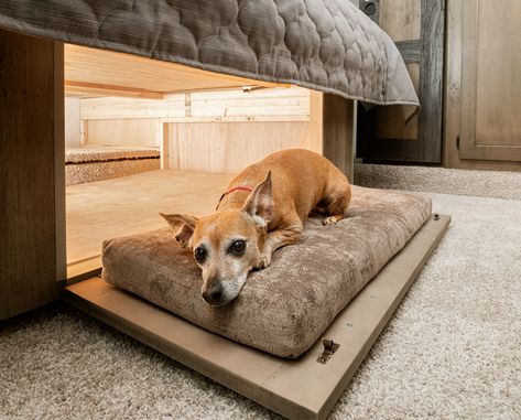 #KeystoneRV  Now on all models with bed slides... Sprinter pet beds!  For more information visit: https://www.keystonerv.com/ Campervan Dog Bed Ideas, Rv Dog Bed Ideas, Campervan Dog Bed, Camper Van Dog Bed, Rv Dog Bed, Camper Dog Bed, Rv Dog, Camper Dog, Rv Pet