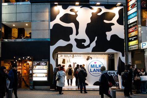 Milk Booth Design, Milk Store Design, Dairy Shop Interior Design, Milk Shop Design Ideas, Milk Tea Shop Design Interior, Milk Display, Dairy Shop, Milk Store, Poultry Equipment