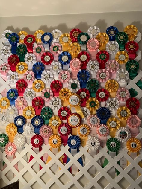 Dog Show Rosettes Ribbon Display, Horse Back Riding Ribbons Display, What To Do With Horse Show Ribbons, Displaying Ribbons Awards, Horse Show Ribbon Ideas, Equestrian Ribbon Wall, Rosette Ribbon Display, Horse Rosette Display, Equestrian Ribbon Display