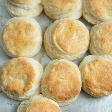 Better Buttermilk Biscuits • Southern Shelle Sweet Buttermilk Biscuits, Buiscits Recipes, Homemade Southern Biscuits, Biscuits Southern, Buttermilk Biscuit Recipe, Best Buttermilk Biscuits, Milk Biscuits, Southern Biscuits, Buttermilk Biscuits Recipe