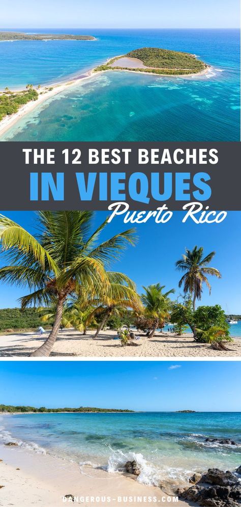 12 Best Beaches in Vieques, Puerto Rico You Need to See for Yourself. Fun things to do in Vieques, Puerto Rico! Find the best places to eat and stay! From Vieques, Puerto Rico hotels, resorts, and more. Enjoy snorkeling the Vieques, Puerto Rico's bioluminescent bay, and other beach activities. #Vacation #PuertoRico Bioluminescent Bay Puerto Rico, Puerto Rico Hotels, Vieques Puerto Rico, Puerto Rico Island, Weekend Getaways For Couples, Puerto Rico Beaches, Bioluminescent Bay, Puerto Rico Trip, Beaches To Visit