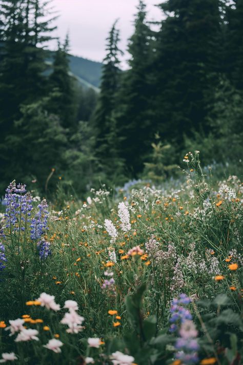 Discover a tranquil meadow brimming with wildflowers, where purple lupines dance beside pristine white blossoms, all set against majestic evergreens fading into the mist. Let nature inspire you. 🌼🌲 Save this beauty and follow us at treetee for more nature escapes. Wild Lupine Flowers, Forest Meadow Aesthetic, Meadow Aesthetic, Stream Layout, Wildflower Aesthetic, Manifesting Magic, Lupine Flowers, Field Of Wildflowers, Bedroom Painting