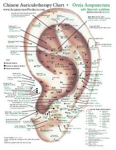 05 03 08 chinese ear points www.gftaognosticaespiritual.org Ear Pressure Points, Ear Acupressure Points, Acupuncture Charts, Acupuncture Points Chart, Ear Reflexology, Ear Acupuncture, Healthy Holistic Living, Reflexology Chart, Reflexology Massage