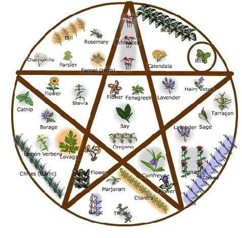 Various Paths of Witchcraft: Eclectic Wicca/Witchcraft – Witches Of The Craft® Outdoor Altar, Witches Garden, Witch's Garden, Garden Witch, Witchy Garden, Magia Das Ervas, Witch Garden, Magic Herbs, Wicca Witchcraft