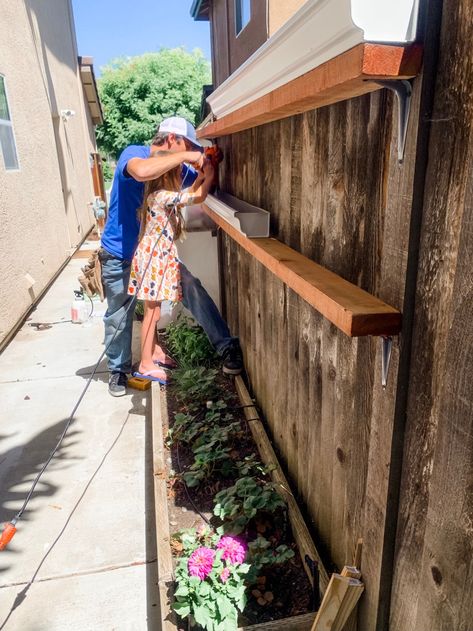 DIY Strawberry Gutter Garden - ali-ish HOME Strawberry Gutter Garden, Rain Gutter Garden, Diy Patio Pavers, Vertical Vegetable Gardens, Gutter Garden, Fence Planters, Strawberry Planters, Southern Arizona, Strawberry Garden