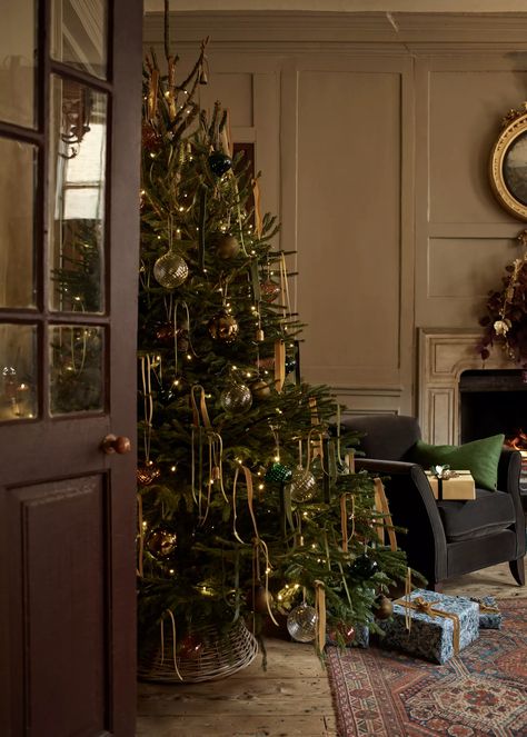 How to choose the perfect Christmas tree | Neptune Moody Christmas, Christmas Tree Inspo, Raindrops And Roses, Christmas Interiors, Christmas Inspo, Home Christmas, Vintage Christmas Tree, Christmas Mood, Christmas Deco