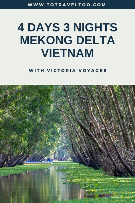 Vietnam Mekong Delta, Mekong Delta Vietnam, Travel To Vietnam, Vietnam Itinerary, Vietnam Trip, Vietnam Travel Guide, Visit Asia, Mekong Delta, Ancient Greek Architecture