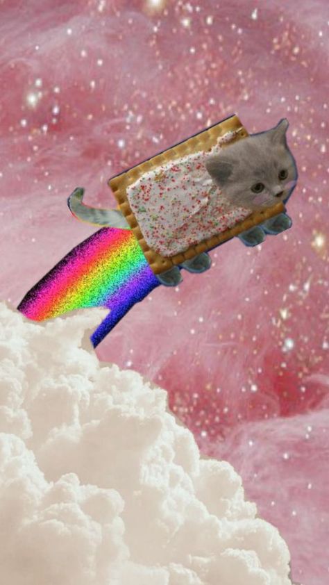 Nyan Cat Wallpapers, Cat Wallpapers, Flying Cat, Hello Stranger, Cat Background, Wallpapers Widgets, Nyan Cat, Wallpapers For Phone, Hello Kitty Backgrounds