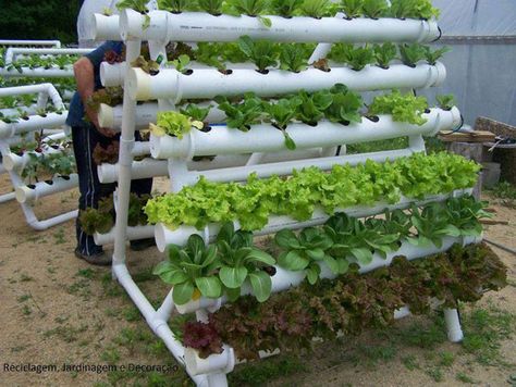 15 Unusual Vegetable Garden Ideas - Counter height garden boxes Pvc Garden, Hydroponic Farming, Vertical Vegetable Garden, Aquaponics System, Diy Gardening, Creative Gardening, Hydroponic Gardening, Edible Plants, Diy Garden Projects