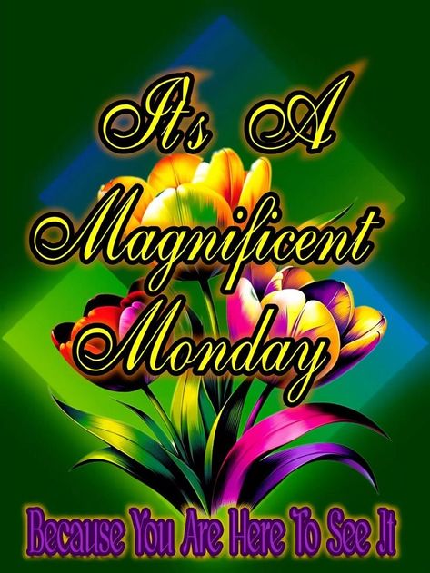 Happy Monday Morning Inspiration, Monday Blessings New Week, Monday Morning Blessings, Happy Monday Good Morning, Monday Morning Greetings, Monday Morning Inspiration, Happy Monday Images, I Love You So Much Quotes, Happy Monday Quotes