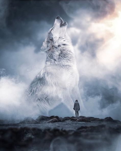 Magical Wolf, Creative Composition, Wolf Life, Creature Fantasy, Giant Animals, Wolf Images, Wolf Photography, Wolf Stuff, Wolf Artwork