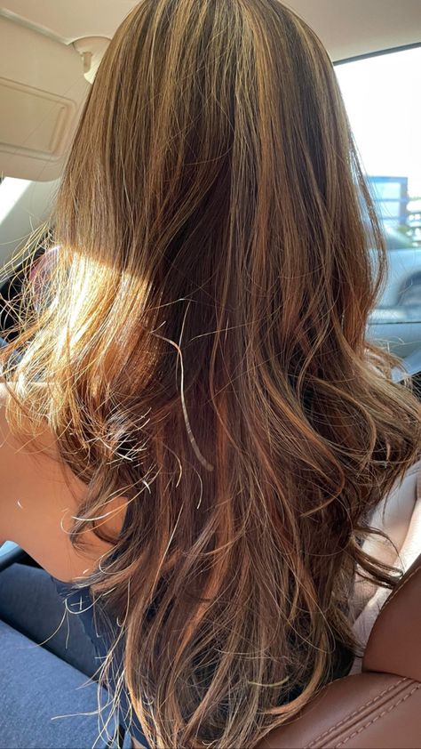 Honey Toned Highlights, Surfer Brown Hair, Sun Bleached Brown Hair, Sun Bleached Hair Brown, Sun Kissed Dark Brown Hair, Brown Hair With Highlights Summer, Honey Brown With Highlights, Brunette Sunkissed Hair, Dark Brown And Blonde Highlights