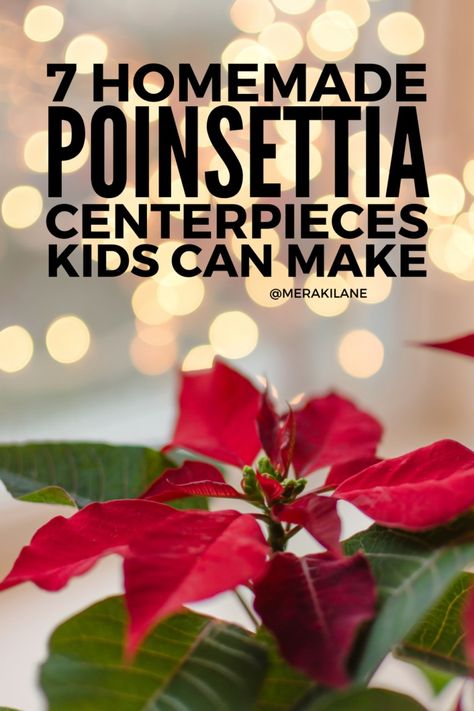 11 DIY Poinsettia Centerpieces to Make with Your Kids Poinsettia Table Centerpiece, Poinsettia Centerpiece Diy, Poinsettia Centerpiece Table Decorations, Pointsetta Centerpieces Christmas, Poinsettia Decorating Ideas, Round Table Christmas Centerpieces, Diy Poinsettia, Round Table Centerpieces, Poinsettia Centerpiece