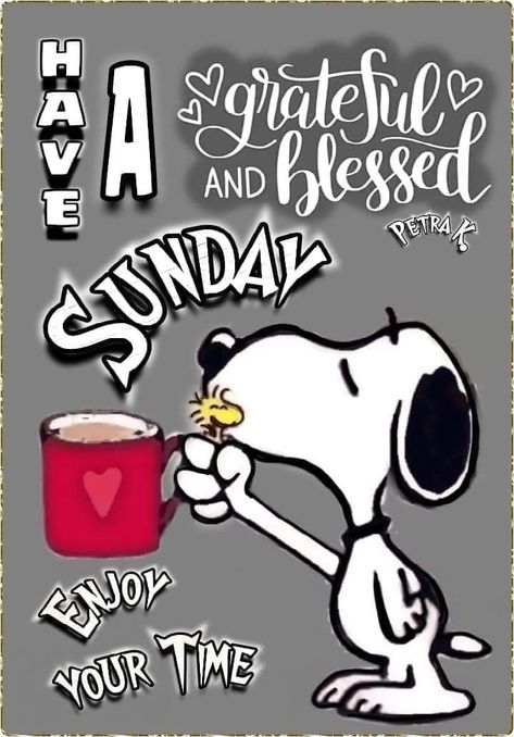 Sunday Morning Funny Quotes, Snoopy Sunday Mornings, Saturday Morning Quotes Funny, Happy Sunday Quotes Inspirational, Peanuts Gang Quotes, Sunday Snoopy, Snoopy Sunday, Sunday Morning Humor, Charly Brown