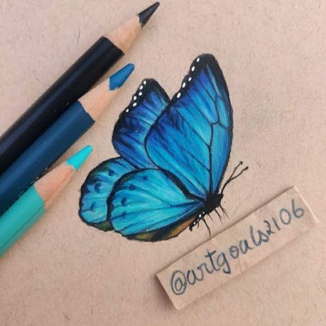 Colored Pencil Butterfly, Butterfly Drawing Pencil, Crayons Pastel, Butterfly Art Drawing, Butterfly Sketch, Blue Drawings, Prismacolor Art, Colored Pencil Tutorial, Colored Pencil Artwork