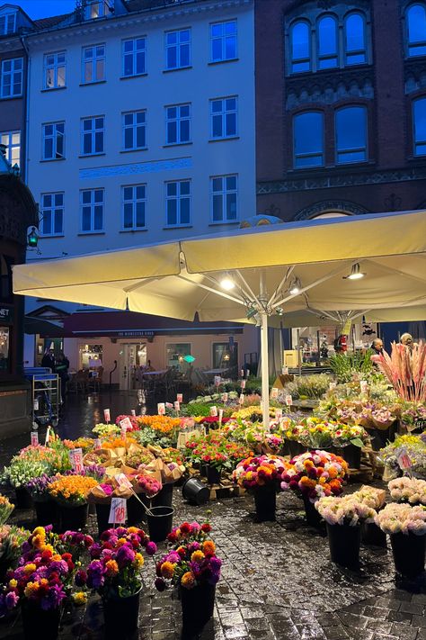 Copenhagen Fall Aesthetic, Copenhagen At Night, Cophengan Denmark, Copenhagen Denmark Aesthetic, Scandinavian Autumn, Copenhagen Market, Denmark Aesthetic, Copenhagen Aesthetic, Copenhagen Travel