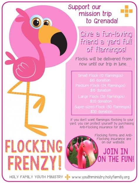 Flamingo Fundraiser, Diy Poster Ideas, Cricut Basics, Pto Fundraisers, Victim Services, Childcare Facility, Junior Mint, Creative Fundraising, Sports Fundraisers