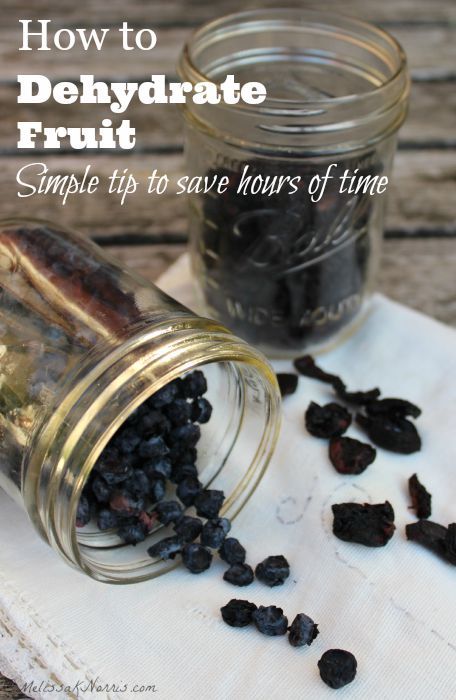 Learn how to dehydrate fruit at home to save money and build up your food storage. This simple tip will cut hours off your dehydrating time. Grab this now to preserve the summer berry and fruit harvest. Dehydrating Blueberries, Melissa K Norris, Food Dehydration, Dehydrated Fruit, Berry Juice, Blueberry Jam, Summer Berries, Food Saver, Dehydrated Food