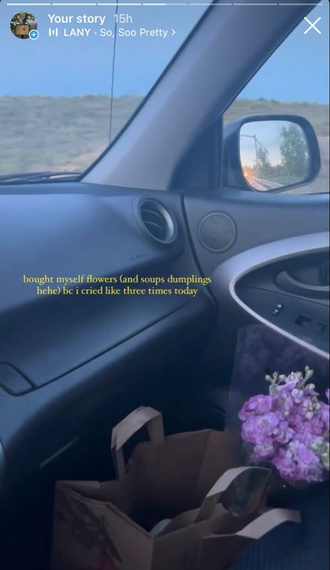 Long Drive Instagram Stories, Night Drive Caption, Trader Joes Flowers, Buy Yourself Flowers, One Word Caption, Store Aesthetic, Sunset Drive, Aesthetic Captions, Caption For Friends