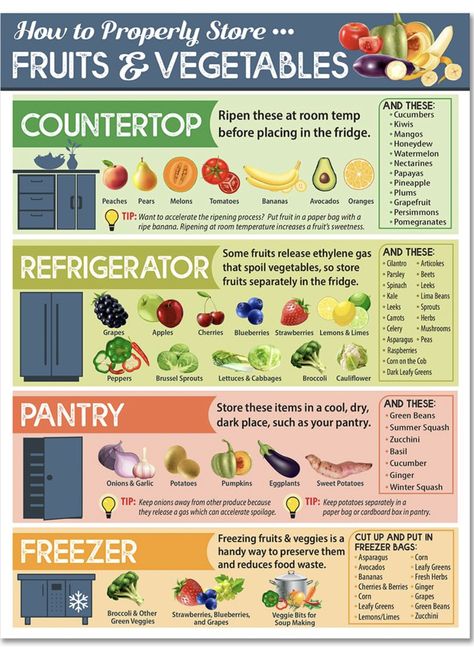 Healthiest Vegetables List, How To Store Fruits And Vegetables Chart, Which Fruits And Veggies To Refrigerate, Seasonal Fruits And Vegetables Chart, Fruits And Veggies In Season By Month, Cooking Mistakes, Beginner Cooking, Culinary Basics, Learning How To Cook