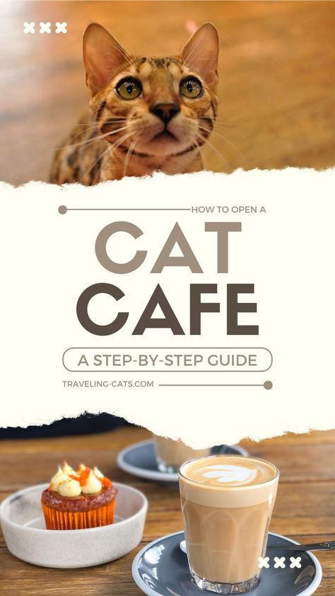 Cat Cafe Interior Coffee Shop, Cat Cafe Business Plan, Cat Business Ideas, Cat Cafe Ideas, Cat Cafe Interior, Cat Cafe Aesthetic, Cat Coffee Shop, Cafe Business Plan, Cat Cafes