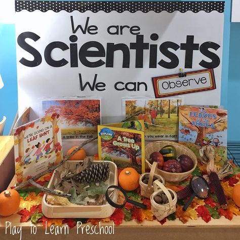 Science Areas For Preschool, Thanksgiving Science Center Preschool, Pre K Science Center Ideas, We Are Scientists Preschool, Prek Science Centers, Science Eyfs, Investigation Station, Science Center Preschool, Investigation Area