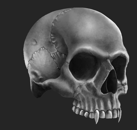 Skull Horns Tattoo, Skull With Sharp Teeth, Skull With Fangs, Skull Vampire, Vampire Skull, Skull Reference, Goth Clothes, Vampire Hunter, Sharp Teeth