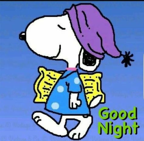 Snoopy Going To Bed snoopy good night pictures snoopy good night quotes Good Night Snoopy, Goodnight Snoopy, Snoopy Tattoo, Snoopy And Friends, Good Morning Snoopy, Woodstock Snoopy, Snoopy Birthday, Good Night Funny, Snoopy Comics