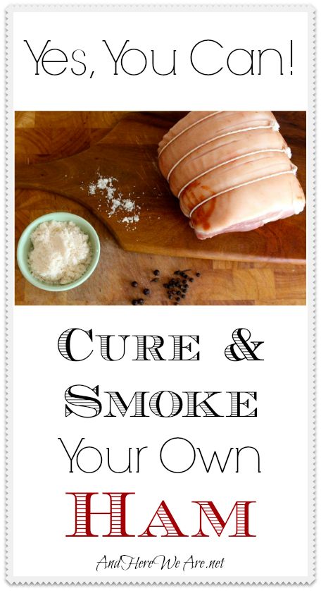 Meat Curing, Cured Meat Recipes, Fermented Foods Benefits, Diy Foods, Meat Smoker, Canning Tips, Scrumptious Food, Electric Smoker, Smoked Meats