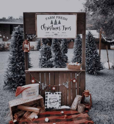 Christmas Tree Stand Photoshoot, Christmas Mini Photoshoot Outdoor, Outdoor Christmas Set Up Photography, Christmas Mini Sessions Indoor Setup, Christmas Stand Ideas, Photo Set Up Ideas, Outdoor Photo Studio, Christmas Mini Sessions Outdoor, Christmas Stall Ideas