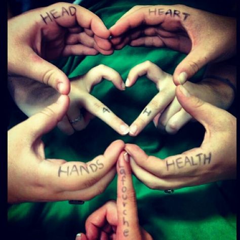 Creatively 4-H.......... LOVE THIS!!!!!!!!!!!! 4h Fair, 4 H Clover, 4 H Club, Hand Health, Fair Projects, Heart Hands, Ffa, Photography Projects, Timeline Photos