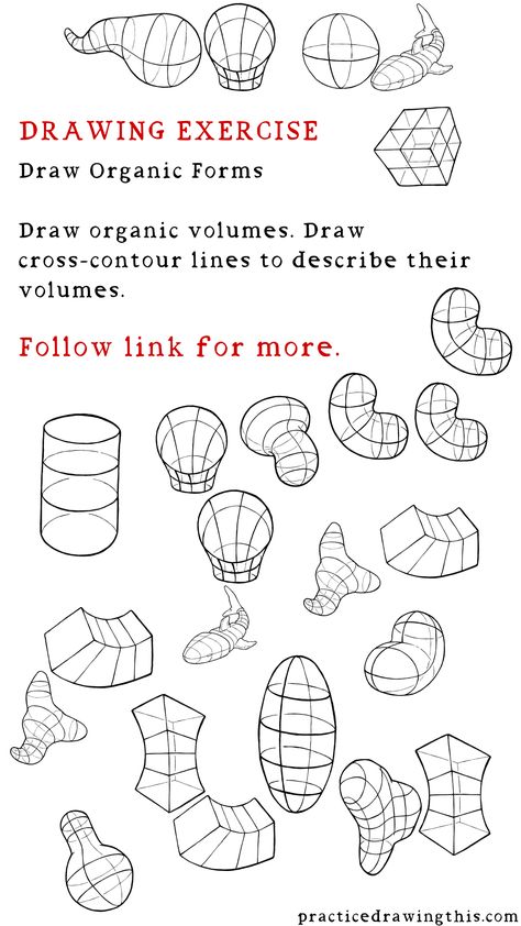 Drawing Exercises - Draw organic volumes. Draw cross-contour lines to describe their volumes. Perspective Exercises, Crazy Perspective, Drawing Training, Shapes Drawing, Quotes Creativity, Drawing 101, Geometric Shapes Drawing, Basic Sketching, Beautiful Pencil Drawings