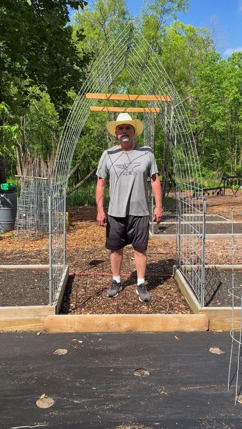 Cattle Panel Trellis #gardentips #tips #gardening #farmlife #backyardfarming #homestead #farmtotable | PawPaw Ridge Homestead | Wire Garden Trellis, Garden Box With Trellis, Cattle Fence Trellis, Cow Panel Garden Trellis, Cattle Panel Trellis Arches, Hog Panel Trellis, Raised Garden Bed Trellis, Cattle Panel Arch, Trellis Ideas Garden