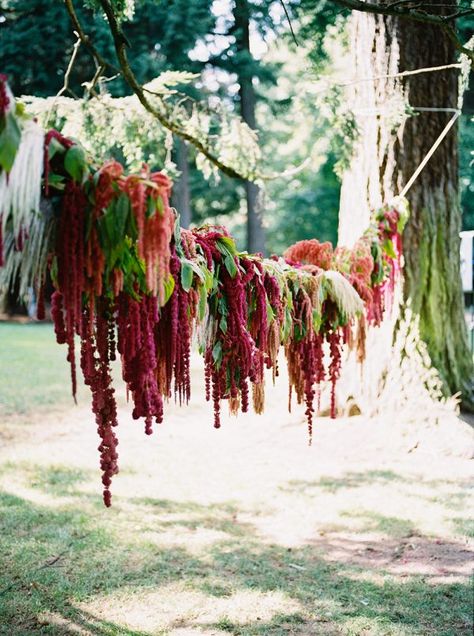 Hanging Amaranthus (Floral Design: Fieldwork Flowers) - Modern Bohemian Portland Wedding by Kayla Rae Hoppins (Wedding Planning) + Brittany Lauren Photography - via ruffled Amaranthus Wedding Arch, Hanging Amaranthus Wedding, Amaranth Wedding, Medieval Feast, Amaranth Flower, Hanging Amaranthus, Perrier Jouet, Wedding Hoop, Moss Decor