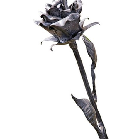 Welding a rose can be a simple project. Soldering Iron Projects, Welding Works, Shielded Metal Arc Welding, High School Project, Metal Roses, Welding Crafts, Welding Ideas, Welding Jobs, 3d Ideas