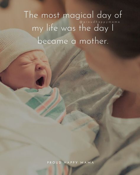 Are you looking for the best new baby quotes and sayings to help welcome a newborn baby into the world?Then you have come to the right place! Maternity Quotes, Baby Quotes And Sayings, Inspirational Baby Quotes, Baby Quotes Pregnancy, Inspirational Pregnancy Quotes, Newborn Baby Quotes, Love My Kids Quotes, New Baby Quotes, New Mom Quotes