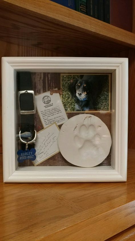 Pet Shadow Box. Polyform Sculpey Keepsake ovenbake Clay ($9.00 on Amazon) Pet Memorial Ideas Dogs, Dog Shadow Box, Pet Keepsake, Pet Remembrance, Dog Rooms, Dog Crafts, Dog Memorial, Pet Memorial, Pet Loss